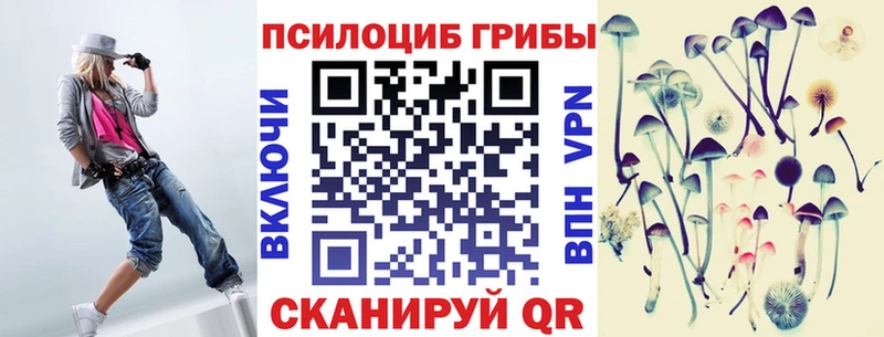 Псилоцибиновые грибы Psilocybine cubensis  Сосновый Бор 